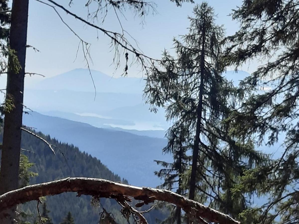 Apartament Almhaus Florian Treffen am Ossiacher See Zewnętrze zdjęcie